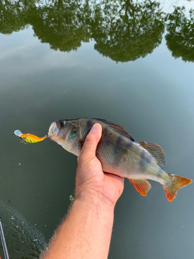My Lodge Dinteloord 外观 照片